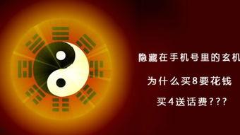 金马会八卦玄机网,揭秘娱乐圈幕后风云