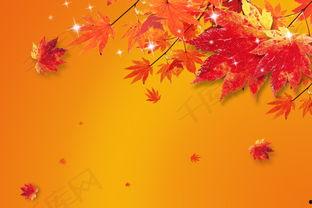 收获的季节背景音乐,乐韵悠扬——收获季节背景音乐赏析